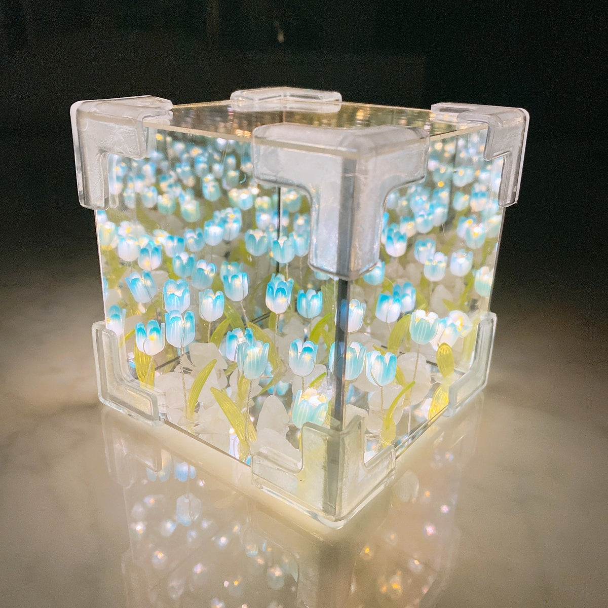 TuliBox® – Caja de tulipanes infinitos