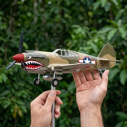 ✈️Airplane Weathervane