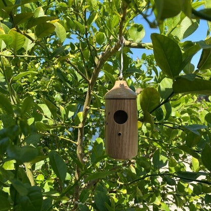 Wooden Hummingbird House (Set 3 Pcs)