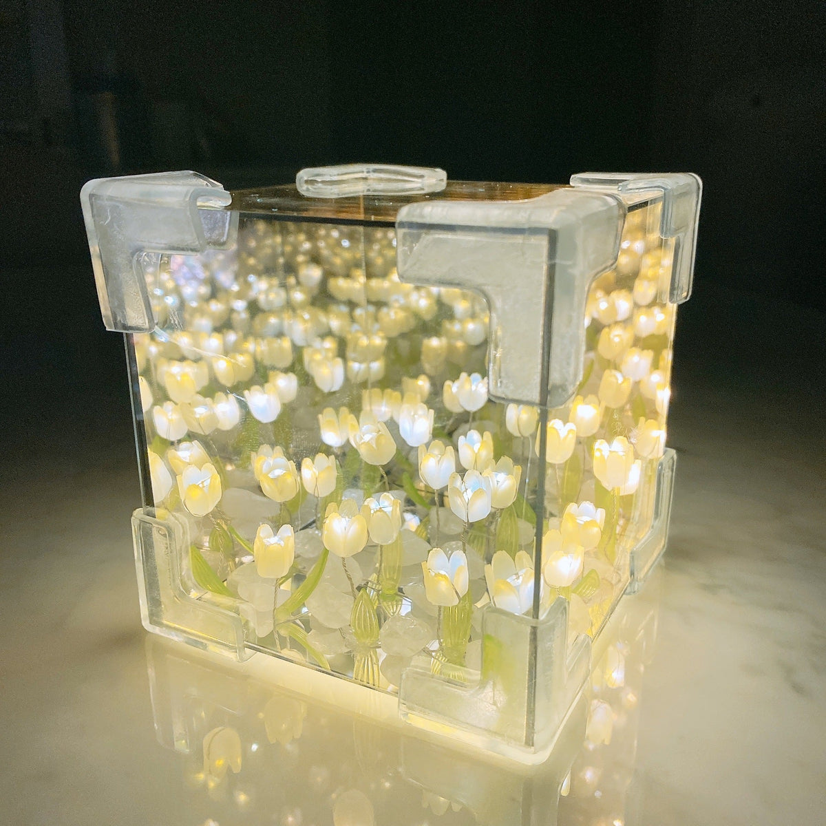 TuliBox® – Caja de tulipanes infinitos