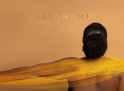 💗LAST DAY - BUY 1 GET 1 FREE💗Effective Exfoliating Net Bath Sponge